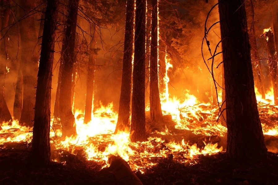 The Era of Wildfires