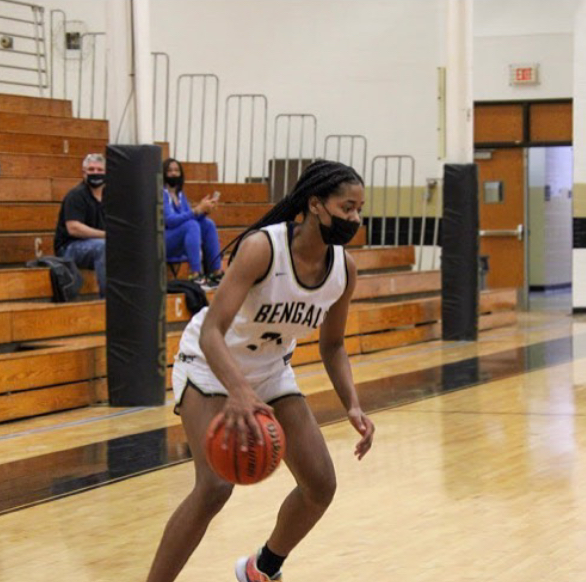 Bengal Siblings Dominate the Court