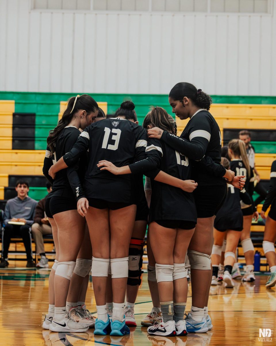 All Eyes on Regionals: Girls' Volleyball Battles for the Title